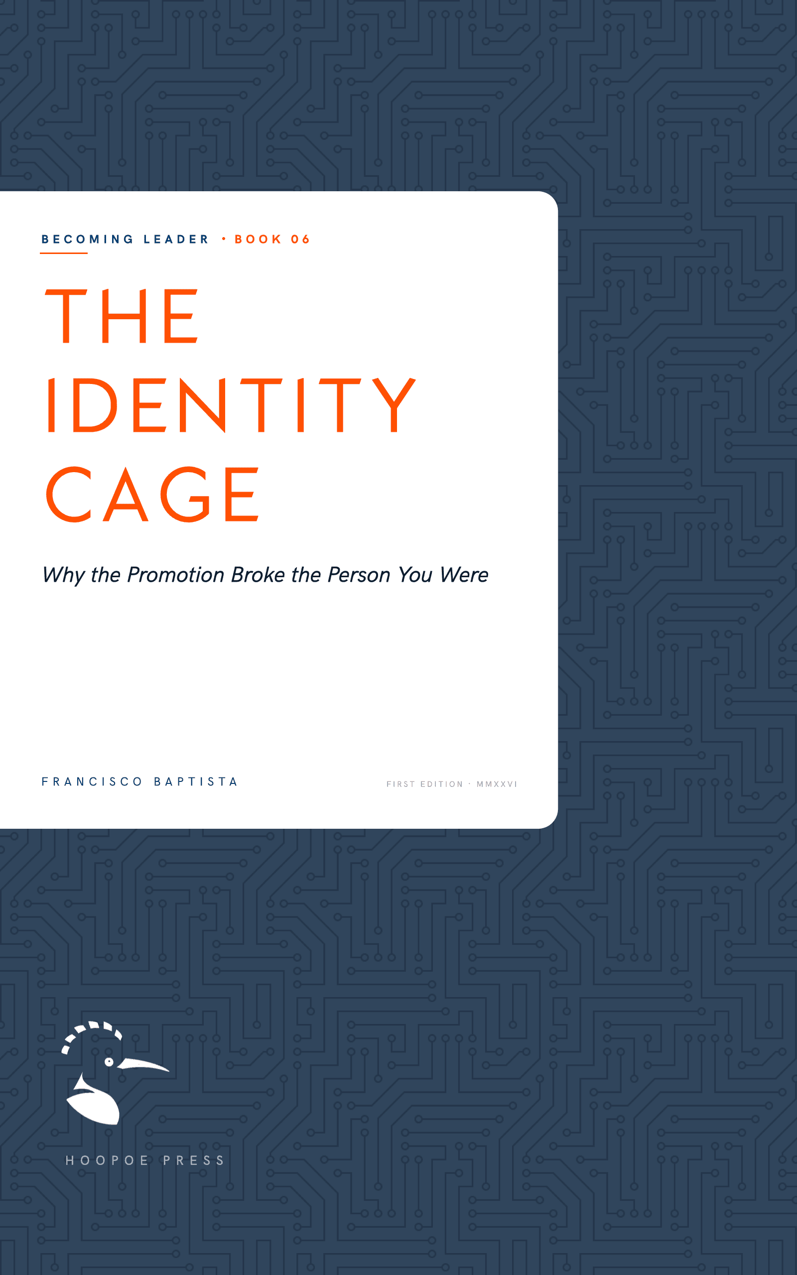 The Identity Cage